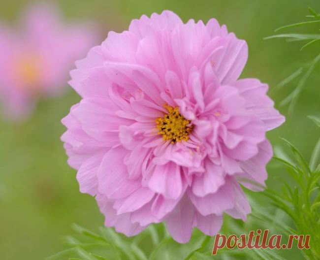 Доброе утро!