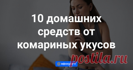 Что делать, если вас покусали, а аптека — не вариант.