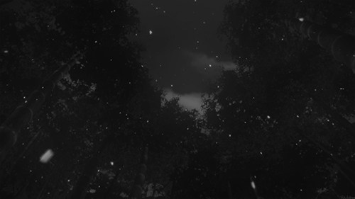 Night Music 8, later reissued by Naxos under a different cover as Pastorale, is predominantly a collection of quiet music for late-night relaxation --- Ночная музыка ...