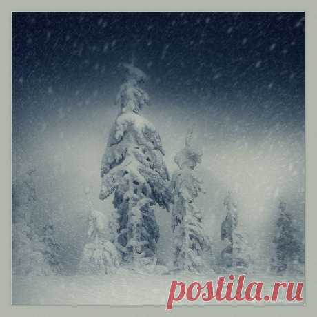 35PHOTO - Котенко Александр - Семья
