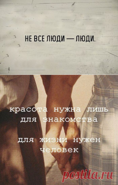 В точку! Шедевральная коллекция / Писец - приколы интернета