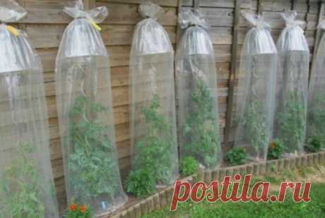 13 практичных советов, которые стоит взять на заметку всем дачникам в начале сезона - Идеальная хозяйка