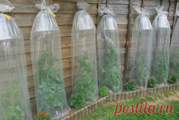 13 практичных советов, которые стоит взять на заметку всем дачникам в начале сезона - Идеальная хозяйка