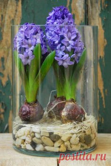 (2) Pinterest: инструмент для поиска и хранения интересных идей