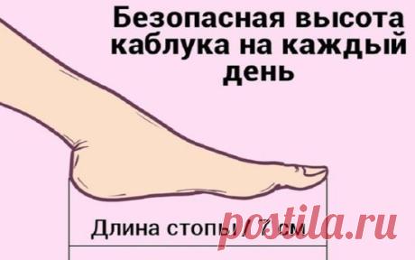 Вот как правильно подобрать туфли на каблуке! Выбираю только такие.
Туфли на каблуке — предмет обожания многих женщин. Но не все представительницы прекрасного пола знают, как подобрать не только стильную, но и комфортную пару обуви. «Правильные» туфли подарят ощущение легкости, удобства и настоящего блаженства. Запомни эти простые трюки и ты никогда не прогадаешь с выбором обуви!
Удобный каблукПервый способ не составит особого труда. Врачи утверждают, что повседневные туфли должны иметь каблук