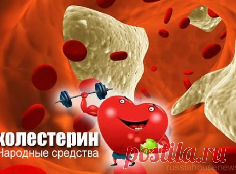 народные рецепты для снижения холестерина