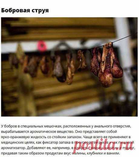 Фото пользователя Виктор, Ашхабад, 59 лет