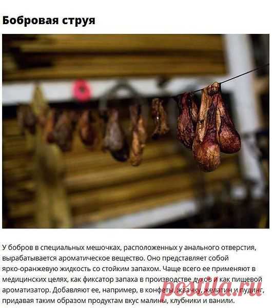 Фото пользователя Виктор, Ашхабад, 59 лет