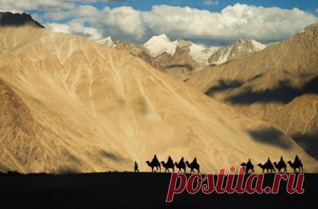 Ничто в мире не способно заменить упорство. Талант не способен: нет ничего банальнее, чем талантливые неудачники. Не заменит его и гениальность: мир полон непризнанных гениев.
И только упорство и определенность всемогущи.