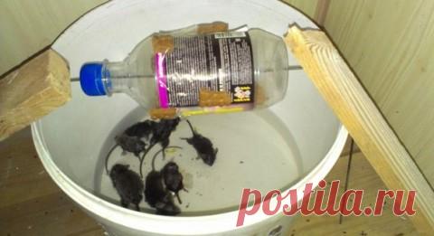 КАК ПРАВИЛЬНО СДЕЛАТЬ ДЕРЕВЯННЫЙ ПОЛ В ДОМЕ СВОИМИ РУКАМИ