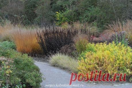 лента друзей morli