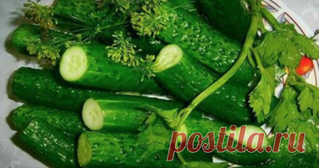 Хрустящие малосольные огурчики