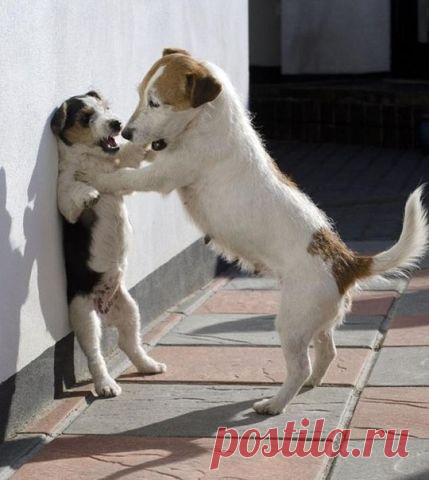 припер к стене