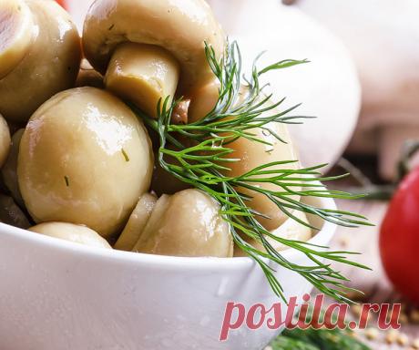 Маринад для грибов. Шампиньоны, опята, вешенки, на мангале и на зиму