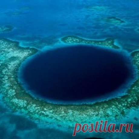 Акула и ее «обед» неожиданно поменялись местами