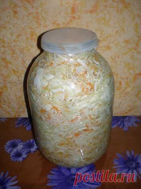 Маринованная капуста быстрого приготовления - Простые рецепты Овкусе.ру