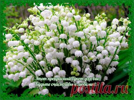 (35) Одноклассники