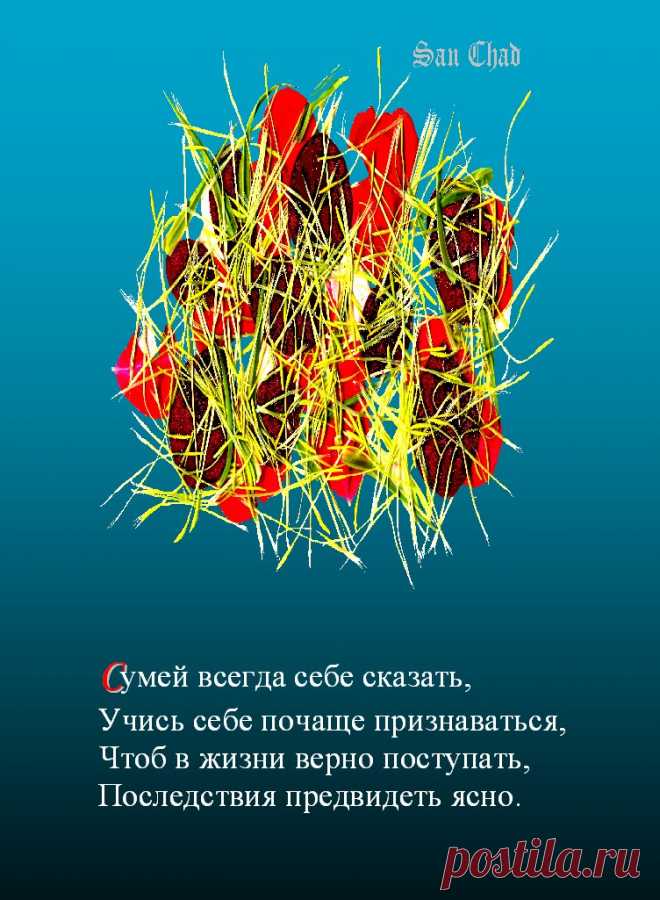 САН ЧАД * ИЗБРАННЫЕ СОФИТЫ – 96 фотографий