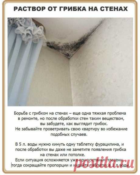 Фотографии на стене сообщества | ВКонтакте