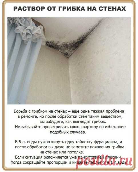 Фотографии на стене сообщества | ВКонтакте