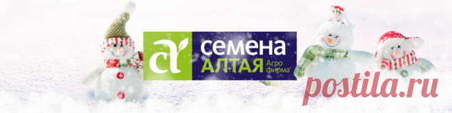 Семена Алтая Более 20 лет на рынке семян.  Яркий и богатый ассортимент, доступные цены Высококачественные семена цветов и овощей, саженцы сибирских роз, винограда, плодовых, ягодных и декоративных растений.