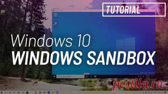 Как установить и запустить Песочницу и пользоваться ею в системе Windows 10 Разработчики Windows 10 создали свой магазин приложений Microsoft Store, куда попадают лицензионные программы. Впрочем, далеко не все пользователи обращаются к помощи MS, так как в магазине представле...