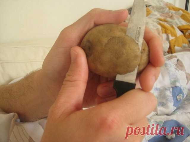 Оказывается, картофель можно не только есть. Необычное применение в быту