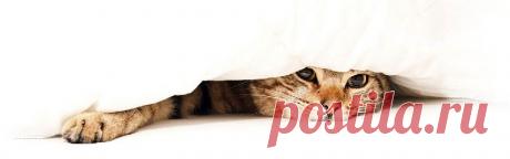 МАХРОВЫЕ ПОЛОТЕНЦА и ПРОСТЫНИ - Купить постельное белье,одеяла,подушки, махровые полотенца и простыни с доставкой по Украине в интернет-магазине &quot;Добранич&quot;