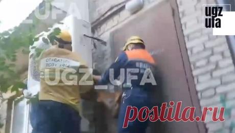 Голый уфимец пролез между фасадом дома и блоком кондиционера, чтобы охладиться. В Уфе спасатели вызволили мужчину, который застрял в узком проеме между стеной здания и внешним блоком кондиционера. Об этом сообщает городское управление гражданской защиты. Инцидент произошел на Проспекте Октября. Пострадавший оказался ...