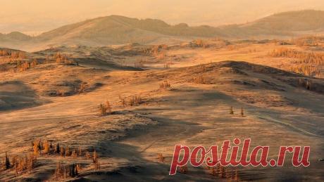 Курайская степь. Горный Алтай. Автор фото — Tomski: nat-geo.ru/photo/user/19753/  |  National Geographic Россия