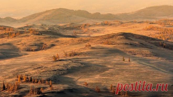 Курайская степь. Горный Алтай. Автор фото — Tomski: nat-geo.ru/photo/user/19753/  |  National Geographic Россия
