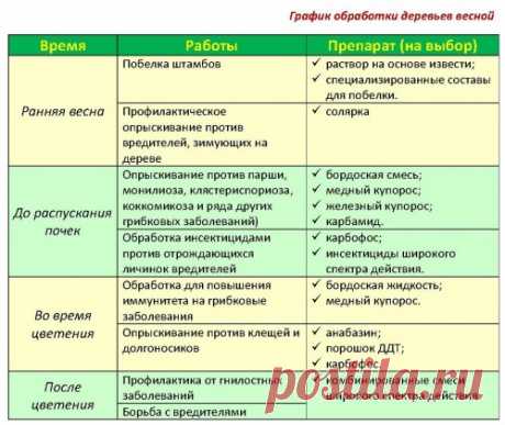 Весенняя обработка сада от болезней и вредителей: принцип и график работ