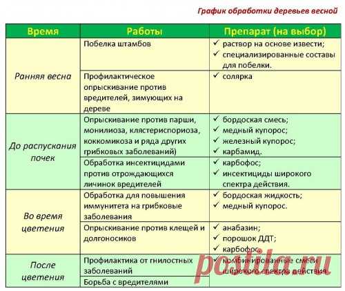 Весенняя обработка сада от болезней и вредителей: принцип и график работ