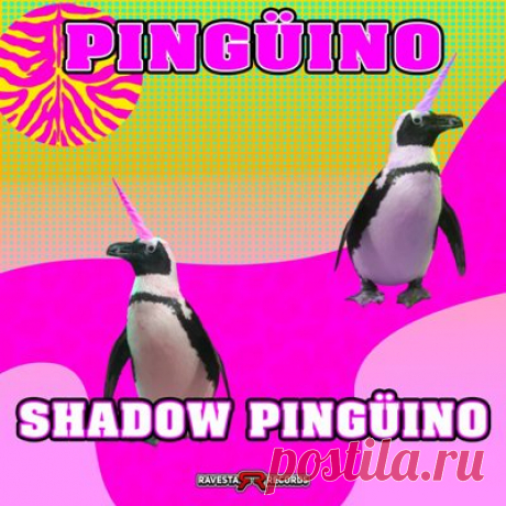 PINGÜINO – Shadow Pingüino