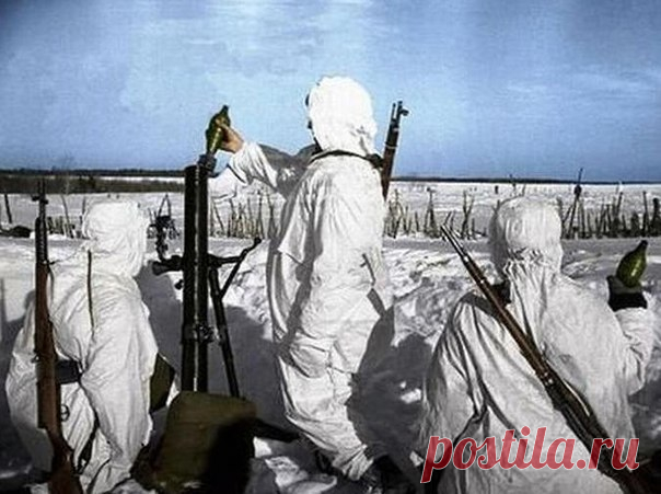 Как находчивый старшина пустил ко дну немецкое судно Захватив Новгород, 15 августа 1941 года немцы дальше продвинуться не смогли. Но и наши до января 1944 не могли прорвать здесь немецкий фронт, и под Новгородом начались позиционные бои в стиле Первой мировой.