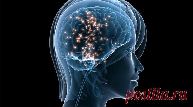 Гимнастика для ума — Делимся советами