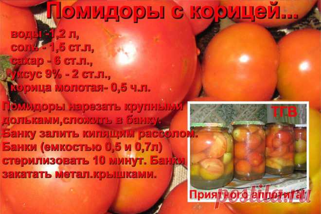 погребок | 35 фотографий