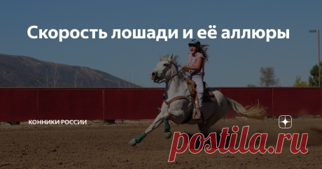 Скорость лошади и её аллюры Отличие аллюра от скорости, искусственные аллюры и скоростные рекорды.