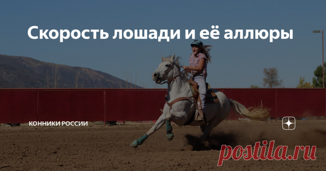 Скорость лошади и её аллюры Отличие аллюра от скорости, искусственные аллюры и скоростные рекорды.