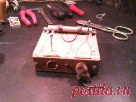 Реально простейшая , самодельная конструкция обычной мышеловки , из деревянного бруска. - YouTube