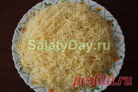 Салат с киви и курицей и сыром - ну очень вкусный: рецепт с фото и видео