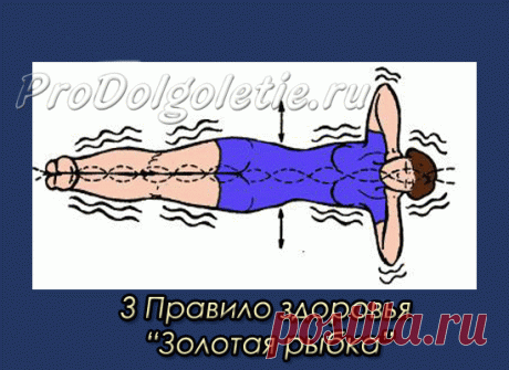Правила здоровья Кацудзо Ниши - система практик восстановления организма и долголетия