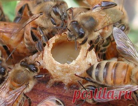 Популярные записи по теме «юмор»