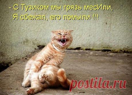 Интересные новости