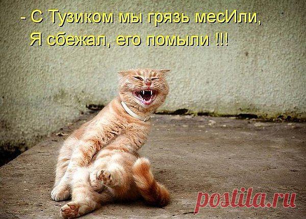 Интересные новости