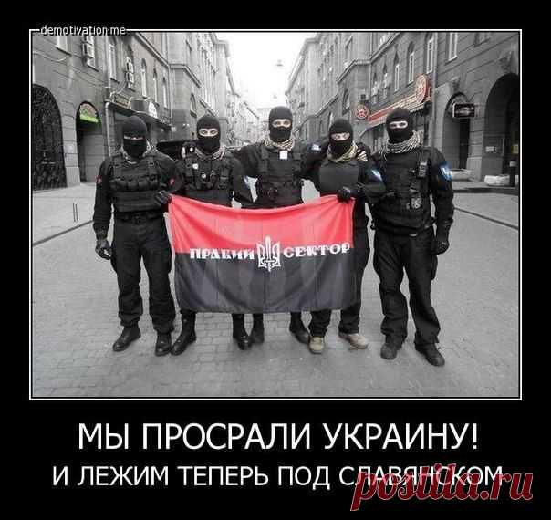 Кокаиновая Юля хочет в НАТО . Уголовные "птенцы " Авакова, Трупчинова и Наливайченко из ГОПармии. | Ваше мнение