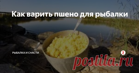 Как варить пшено для рыбалки Предлагаем самый простой, но действенный вариант – с водой и крупой. Без молока, добавок и усилителей запахов – ароматизаторы и что-нибудь еще, например, горох или магазинную прикормку, можно будет вмешать и после приготовления.
Заливаете в кастрюлю воду – из расчета 8 л на 1 кг пшена – и ставите на огонь.
Как только закипит, но никак не раньше, всыпаете крупу.
Варите от 10 до 15 минут, пока пшенн