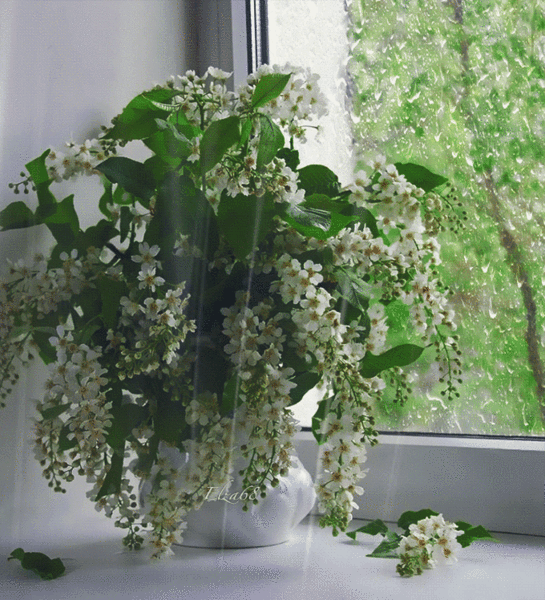Мой Мир@Mail.Ru