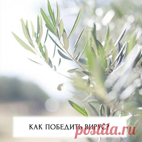 Победим ВИРУС вместе!!!
Ну что, мои хорошие, каникулы продлены до 30 апреля! У всего этого есть как плюсы, так и минусы, и пока что рано делать однозначные выводы. Но одно я знаю точно – любые испытания выпадают нам для того, чтобы мы стали сильнее?? А в чем сила? Сила – в любви, в поддержке, в единстве?? Поэтому сегодня […]
Читай дальше на сайте. Жми подробнее ➡