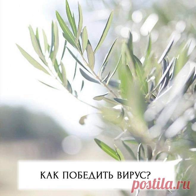 Победим ВИРУС вместе!!!
Ну что, мои хорошие, каникулы продлены до 30 апреля! У всего этого есть как плюсы, так и минусы, и пока что рано делать однозначные выводы. Но одно я знаю точно – любые испытания выпадают нам для того, чтобы мы стали сильнее?? А в чем сила? Сила – в любви, в поддержке, в единстве?? Поэтому сегодня […]
Читай дальше на сайте. Жми подробнее ➡